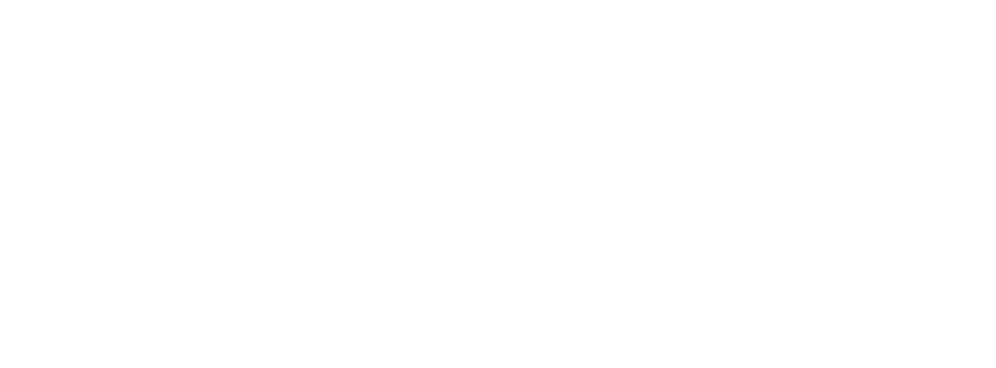 Union Power Metals